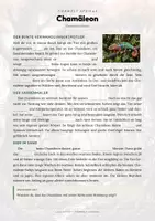Vorschau - Arbeitsblätter - Chamäleon Steckbrief – Tiere Afrikas | Sachunterricht Grundschule Arbeitsblatt - Seite 2