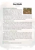 Vorschau - Arbeitsblätter - Dikdik Steckbrief – Tiere Afrikas | Sachunterricht Grundschule Arbeitsblatt - Seite 1