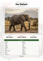 Vorschau - Arbeitsblätter - Elefant Steckbrief – Tiere Afrikas | Sachunterricht Grundschule Arbeitsblatt - Deckblatt