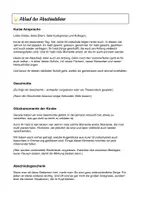 Vorschau - Text - Abschiedsfeier Grundschule: Glück ist oft ganz klein Fertiges Komplettpaket mit Geschichte, Theater & Abschiedsmoment, Schuljahresende - Seite 3