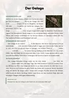 Vorschau - Arbeitsblätter - Affen & Primaten – 15 Tier-Steckbriefe – Sachunterricht Grundschule – Materialpaket - Seite 2