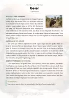 Vorschau - Arbeitsblätter - Geier Steckbrief – Tiere Afrikas | Sachunterricht Grundschule Arbeitsblatt - Seite 1
