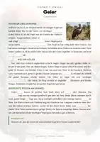 Vorschau - Arbeitsblätter - Geier Steckbrief – Tiere Afrikas | Sachunterricht Grundschule Arbeitsblatt - Seite 2