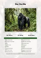 Vorschau - Arbeitsblätter - Gorilla Steckbrief – Tiere Afrikas | Sachunterricht Grundschule Arbeitsblatt - Deckblatt