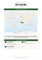Vorschau - Arbeitsblätter - Gorilla Steckbrief – Tiere Afrikas | Sachunterricht Grundschule Arbeitsblatt - Seite 3