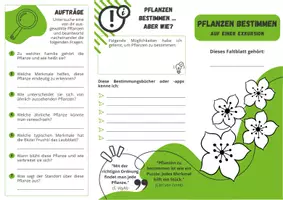Vorschau - Arbeitsblätter - Faltblatt: Pflanzen bestimmen auf einer Exkursion - Seite 1
