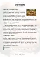 Vorschau - Arbeitsblätter - Impala Steckbrief – Tiere Afrikas | Sachunterricht Grundschule Arbeitsblatt - Seite 1