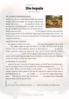 Vorschau - Arbeitsblätter - Impala Steckbrief – Tiere Afrikas | Sachunterricht Grundschule Arbeitsblatt - Seite 2