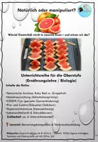 Vorschau - Unterrichtsreihen - Natürlich oder manipuliert? Gentechnik in Lebensmitteln - Deckblatt