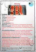 Vorschau - Unterrichtsreihen - Natürlich oder manipuliert? Gentechnik in Lebensmitteln - Seite 2
