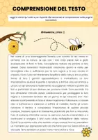 anteprima - Materiale di supporto/inclusione - ATTIVITÀ PER CELEBRARE LA GIORNATA MONDIALE DELLE API - Pagina 1