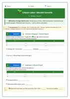 Vorschau - Stundenentwürfe - Genetik Komplettpaket Klasse 9/10 mit Lösungen - Seite 2