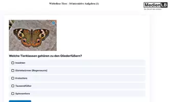 Vorschau - Präsentationen/Tafelbilder - Wirbellose Tiere - 10 Aufgaben (1)-H5P/Moodle/HTML - Deckblatt