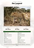 Vorschau - Arbeitsblätter - Tiere Eswatini – 6 Steckbriefe – Sachunterricht Grundschule – Materialpaket - Seite 1