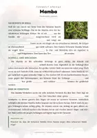 Vorschau - Arbeitsblätter - Mamba Steckbrief – Lesetext, Lückentext, Weltkarte & Arbeitsblatt - Seite 2