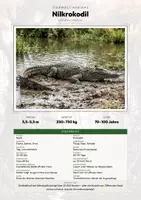 Vorschau - Arbeitsblätter - Die größten Tiere der Welt – 22 Tier-Steckbriefe – Sachunterricht Grundschule – Materialpaket - Deckblatt