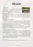 Vorschau - Arbeitsblätter - Nilkrokodil Steckbrief – Lesetext, Lückentext, Weltkarte & Arbeitsblatt - Seite 2