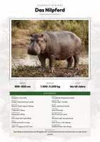 Vorschau - Arbeitsblätter - Nilpferd Steckbrief – Lesetext, Lückentext, Weltkarte & Arbeitsblatt - Deckblatt