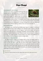 Vorschau - Arbeitsblätter - Tiere Kamerun – 10 Steckbriefe – Sachunterricht Grundschule – Materialpaket - Seite 1