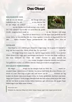 Vorschau - Arbeitsblätter - Tiere Kamerun – 10 Steckbriefe – Sachunterricht Grundschule – Materialpaket - Seite 2