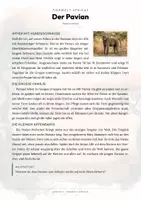 Vorschau - Arbeitsblätter - Tiere der Savanne – 26 Tier-Steckbriefe – Sachunterricht Grundschule – Materialpaket - Seite 1