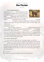Vorschau - Arbeitsblätter - Tiere der Savanne – 26 Tier-Steckbriefe – Sachunterricht Grundschule – Materialpaket - Seite 2