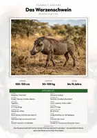 Vorschau - Arbeitsblätter - Tiere Eswatini – 6 Steckbriefe – Sachunterricht Grundschule – Materialpaket - Deckblatt
