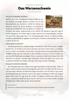 Vorschau - Arbeitsblätter - Warzenschwein Steckbrief – Lesetext, Lückentext, Weltkarte & Arbeitsblatt - Seite 1