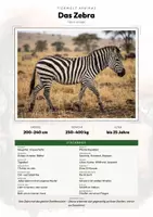 Vorschau - Arbeitsblätter - Tiere Afrikas – 50 Tier-Steckbriefe – Sachunterricht Grundschule – Materialpaket - Deckblatt