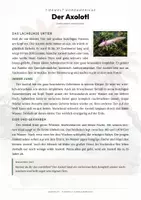 Vorschau - Arbeitsblätter - Axolotl Steckbrief – Lesetext, Lückentext, Weltkarte & Arbeitsblatt - Seite 1