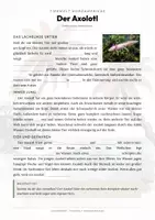 Vorschau - Arbeitsblätter - Axolotl Steckbrief – Lesetext, Lückentext, Weltkarte & Arbeitsblatt - Seite 2