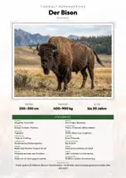 Vorschau - Arbeitsblätter - Bison Steckbrief – Lesetext, Lückentext, Weltkarte & Arbeitsblatt - Deckblatt