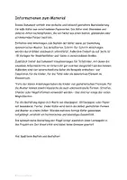 Vorschau - Mal- und Bastelvorlagen - Kunstprojekt - bunte Käfer basteln - Seite 2