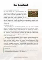 Vorschau - Arbeitsblätter - Gabelbock Steckbrief – Lesetext, Lückentext, Weltkarte & Arbeitsblatt - Seite 1