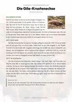 Vorschau - Arbeitsblätter - Gila-Krustenechse Steckbrief – Lesetext, Lückentext, Weltkarte & Arbeitsblatt - Seite 1