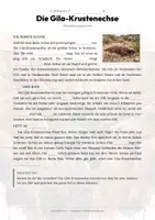 Vorschau - Arbeitsblätter - Gila-Krustenechse Steckbrief – Lesetext, Lückentext, Weltkarte & Arbeitsblatt - Seite 2