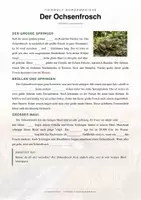 Vorschau - Arbeitsblätter - Ochsenfrosch Steckbrief – Lesetext, Lückentext, Weltkarte & Arbeitsblatt - Seite 2