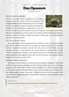 Vorschau - Arbeitsblätter - Opossum Steckbrief – Lesetext, Lückentext, Weltkarte & Arbeitsblatt - Seite 1