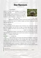 Vorschau - Arbeitsblätter - Opossum Steckbrief – Lesetext, Lückentext, Weltkarte & Arbeitsblatt - Seite 2