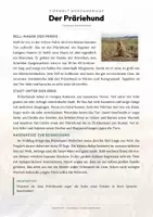 Vorschau - Arbeitsblätter - Präriehund Steckbrief – Lesetext, Lückentext, Weltkarte & Arbeitsblatt - Seite 1