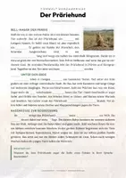 Vorschau - Arbeitsblätter - Präriehund Steckbrief – Lesetext, Lückentext, Weltkarte & Arbeitsblatt - Seite 2