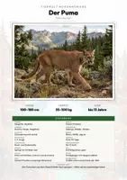 Vorschau - Arbeitsblätter - Puma Steckbrief – Lesetext, Lückentext, Weltkarte & Arbeitsblatt - Deckblatt