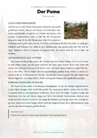 Vorschau - Arbeitsblätter - Puma Steckbrief – Lesetext, Lückentext, Weltkarte & Arbeitsblatt - Seite 1