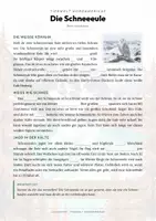 Vorschau - Arbeitsblätter - Polartiere – Antarktis & Arktis – 13 Tier-Steckbriefe – Sachunterricht Grundschule – Materialpaket - Seite 3