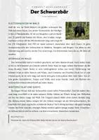 Vorschau - Arbeitsblätter - Bären der Welt – 10 Tier-Steckbriefe – Sachunterricht Grundschule – Materialpaket - Seite 2