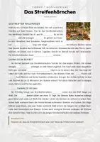 Vorschau - Arbeitsblätter - Streifenhörnchen Steckbrief – Lesetext, Lückentext, Weltkarte & Arbeitsblatt - Seite 2