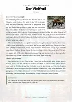 Vorschau - Arbeitsblätter - Schneetiere & Tiere im Eis – 24 Tier-Steckbriefe – Sachunterricht Grundschule – Materialpaket - Seite 2