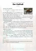 Vorschau - Arbeitsblätter - Schneetiere & Tiere im Eis – 24 Tier-Steckbriefe – Sachunterricht Grundschule – Materialpaket - Seite 3