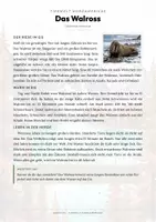 Vorschau - Arbeitsblätter - Walross Steckbrief – Lesetext, Lückentext, Weltkarte & Arbeitsblatt - Seite 1