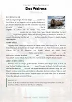 Vorschau - Arbeitsblätter - Walross Steckbrief – Lesetext, Lückentext, Weltkarte & Arbeitsblatt - Seite 2
